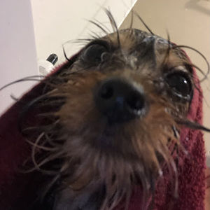 Meet your Posher, Jada